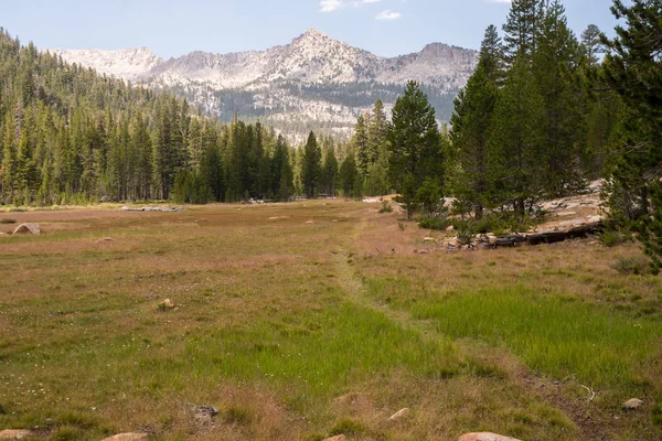 Dağ Backcountry California Daki Sierra Nevada Otsu Çayır — Stok fotoğraf