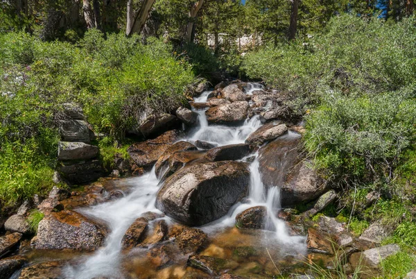 Поток Воды Травы Горной Глуши Сьерра Невады Калифорнии — стоковое фото