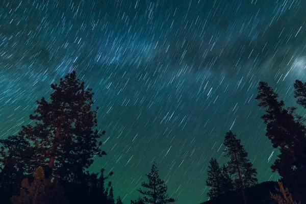 Star trails in the forest in northern California