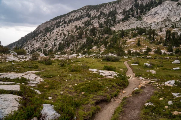 Sentier Herbe Dans Arrière Pays Montagneux Sierra Nevada Californie — Photo
