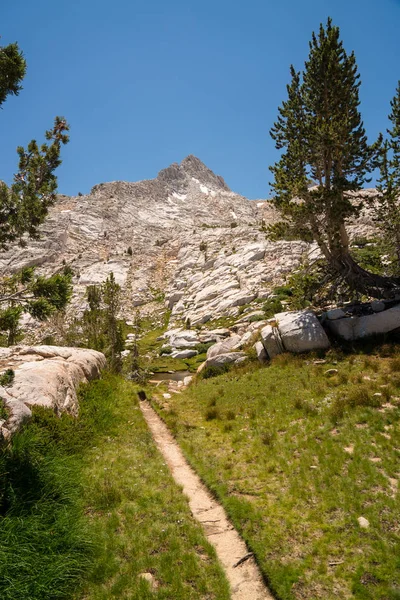 Sendero Césped Campo Montañoso Sierra Nevada California — Foto de Stock