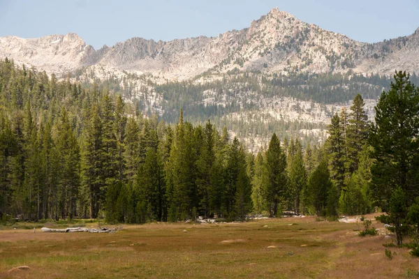 Dağ Backcountry California Daki Sierra Nevada Otsu Çayır — Stok fotoğraf