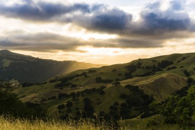 Bir ağaçta renkli günbatımı valley California Hills dolu