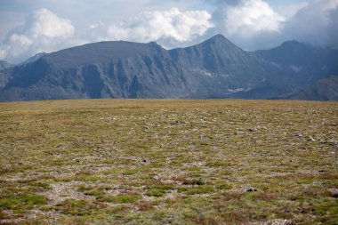 Rocky Mountain park bulutlu gökyüzü altında görünümlerini park Güney bölümünden görüldüğü gibi süpürme