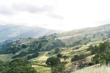 Bir ağaçta renkli günbatımı valley California Hills dolu