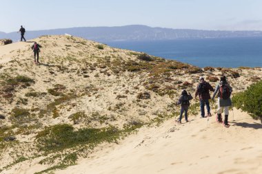 Monterey, California 'da kum tepecikleri üzerinde yürüyen yürüyüşçüler.