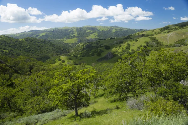 Sunol Областной Заповедник Дикая Природа — стоковое фото