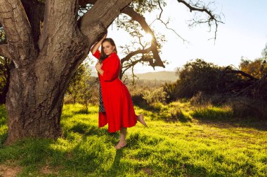 Kırmızı elbise giyen tan karışık ırk kadın üzerinde meşe ağacı günbatımında pozlar.
