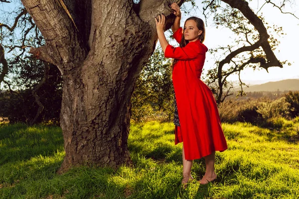 Kırmızı Elbise Giyen Tan Karışık Irk Kadın Üzerinde Meşe Ağacı — Stok fotoğraf