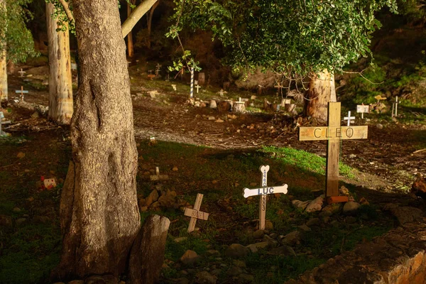 Маленькое Кладбище Домашних Животных Лесу Острове Каталина — стоковое фото