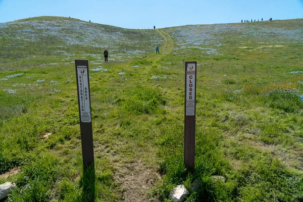 Visitors ignore area closure sign on the Carrizo Plain during the wildflower superbloom