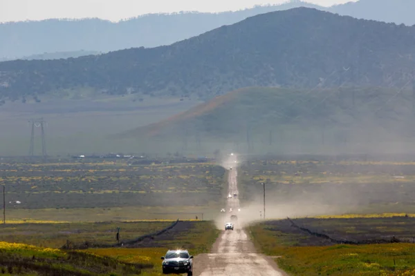 Estrada Estende Para Distância Planície Carrizo Durante Superflor Flores Silvestres — Fotografia de Stock