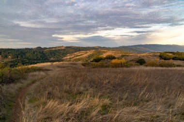 Palo Alto, Kaliforniya üzerinde Monte Bello açık alan üstünden görüldüğü gibi silikon vadisinde gün batımı