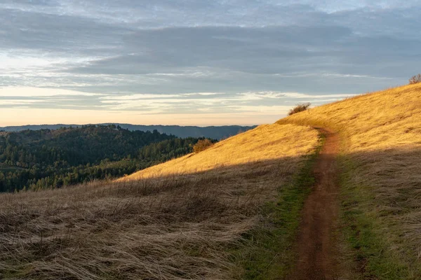 Sunset on silicon valley as seen from the top of Monte Bello open space above Palo Alto, California