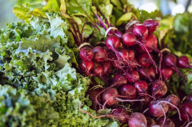 Sebze standında taze yıkanmış pancar