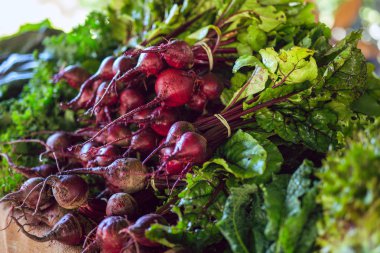 Sebze standında taze yıkanmış pancar