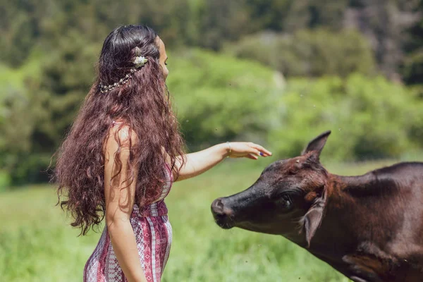 Молодая женщина смешанной расы кормит коров на ферме — стоковое фото