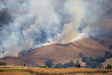San Jose, CA-Temmuz 15 2019: San Jose tepelerde yaz yangın Cumhurbaşkanı