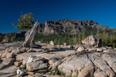 Granit kayalar ve ağaç s arasında eğimli küçük sırt çantası çadırı