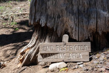Bunun ötesinde sınırsız kamp gösteren hasarlı ahşap işaret 
