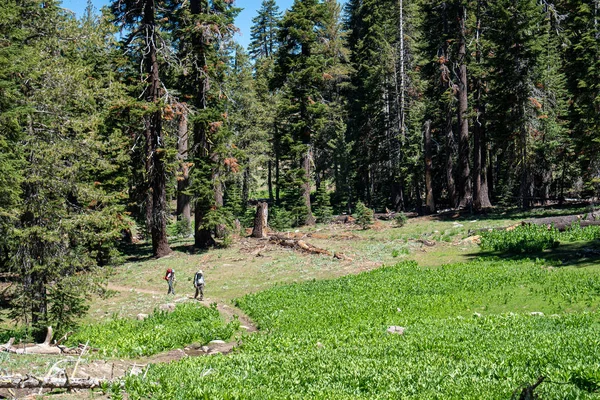 İki backpackers yaz aylarında bir dağ çayır ısla