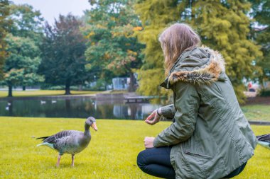 Kadın bir ördek Hamburg'da bir parkta beslemeleri