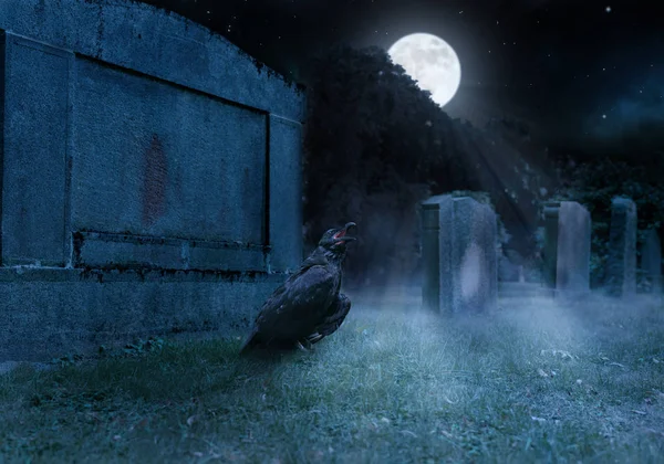 Eine Krähe sitzt auf einem Friedhof vor einem Grabstein — Stockfoto