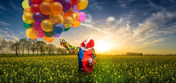 Clown Colorful Balloons Meadow — Stock Photo, Image