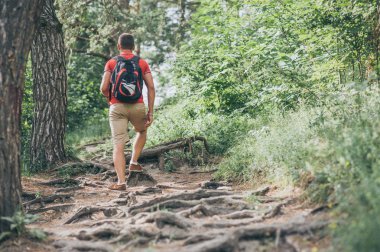 Gezgin adam sırt çantası ile ormanda yürüyüş