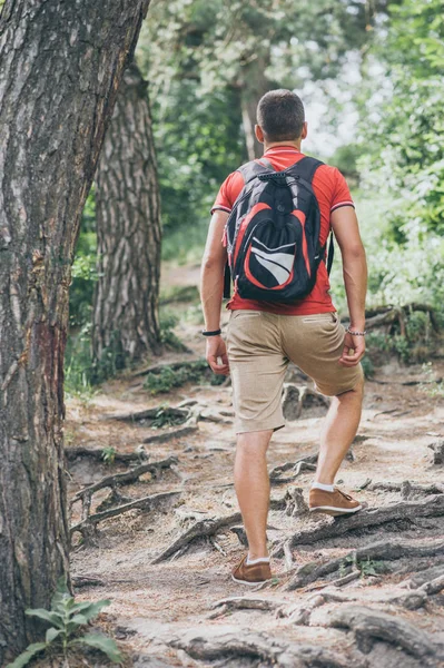 Homem Viajante Com Mochila Está Caminhando Floresta — Fotografia de Stock