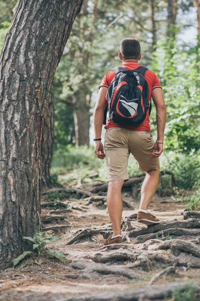 Homem Viajante Com Mochila Está Caminhando Floresta — Fotografia de Stock