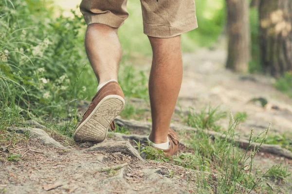 Close Sapatos Homem Andando Floresta — Fotografia de Stock