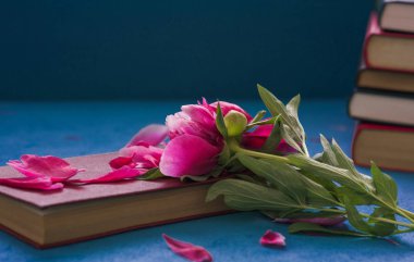 Şakayık çiçek ve yaprakları ile kitap. Öğretmenler Günü kavramı