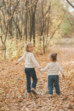 Ilık bir sonbahar gününde parkta yürüyen iki neşeli küçük kız kardeş. Sonbahar arkaplanı. Aşk konsepti