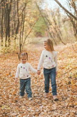 Ilık bir sonbahar gününde parkta yürüyen beyaz Noel süveteri ve kot pantolonlu iki küçük kız kardeş. Aşk konsepti, sonbahar arka planı