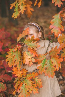 Sonbahar zamanı parkta meşe yapraklarından bir dalın arkasına saklanan yeşil gözlü sevimli bir kızın portresi. Sonbahar arkaplanı, turuncu renk