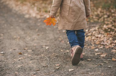 Çocuk bacaklarının yürüme ve sonbahar zamanı parkta meşe yaprağını sol elinde tutuş fotoğrafını çek. Trençkotlu bir kızın ormanda yürüyüşünün arka görüntüsü. Sonbahar arkaplanı