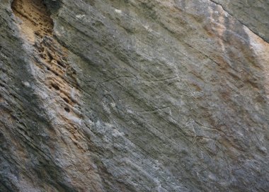 Kobustan Rayonu Açık Hava Müzesi Petroglyph tasvir bir öküz büyük bir kayanın üzerinde