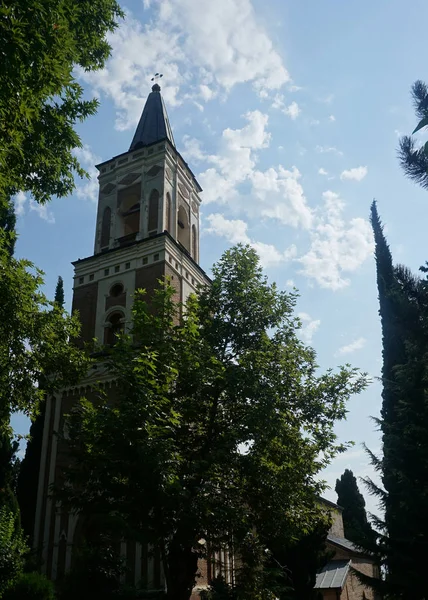 Главная Колокольня Церкви Бодбе Окружена Деревьями — стоковое фото