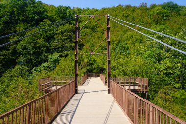 Okatse Canyon dinlenme alanı görünümü, ağaç ve orman