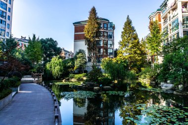 Wuhu Anhui Çin Nilüfer gölet mesire ağaçlar ve apartmanlar arka planda üzerinde