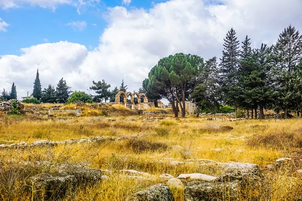 Anjar Citadel Historical Landmark Arched Bows Pillars Grass Trees — Stock Photo, Image