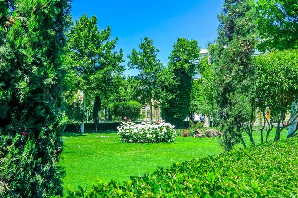 Teerão Golestan Palace Garden Rosas Brancas Sebes Cortadas — Fotografia de Stock