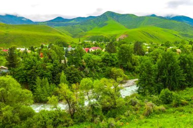 Ala Arça Alp Milli Parkı manzara nehir orman Tian Shan dağ aralığı ile