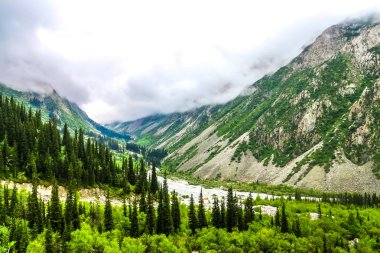 Ala Arça Alpine Ulusal Park peyzaj Bişkek Tian Shan dağ orman nehir sis ile yakın