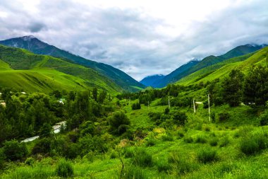 Ala Arça Alpine Ulusal Park peyzaj Bişkek Tian Shan dağ orman nehir köy ile yakın