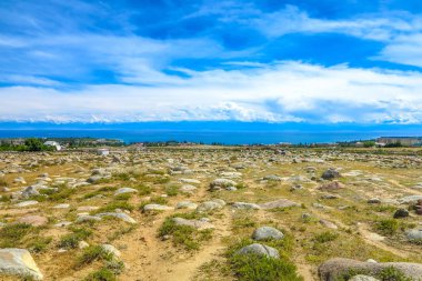 Hayvan atlar geyikler deve avcılar Balbals oyma taş görüntüleri ile Cholpon Ata petroglifler