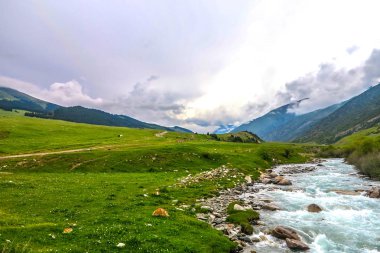 Grigorievka Gorge Kungei Ala ile Kırgızistan'da dağ aralığı orman araba yolu izlemek