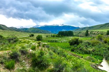 Jeti Oğuz Resort peyzaj ağaçları orman Terskey Ala ile de dağ araba yolu izlemek