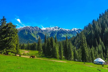 Karakol Gorge Resort manzara kar ile şapkalı Terskey Ala çok dağ aralığı Yurt atları orman